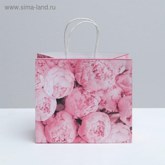 Пакет подарочный крафтовый, упаковка, «Пионы», 25 х 22 х 12 см Пакет подарочный крафтовый, упаковка, «Пионы», 25 х 22 х 12 см