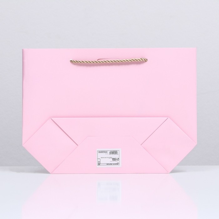 Пакет подарочный с лентой 19 х 20 х 9 см Пакет подарочный с лентой 19 х 20 х 9 см "Розовый"