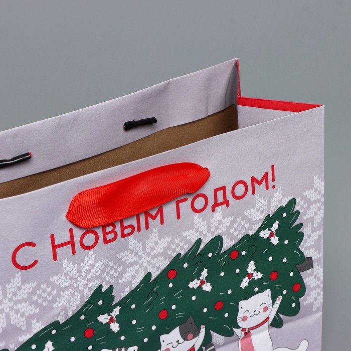 Пакет подарочный новогодний крафтовый горизонтальный «Спешу к тебе», MS 23 х 18 х 10 см, Новый год Пакет подарочный новогодний крафтовый горизонтальный «Спешу к тебе», MS 23 х 18 х 10 см, Новый год