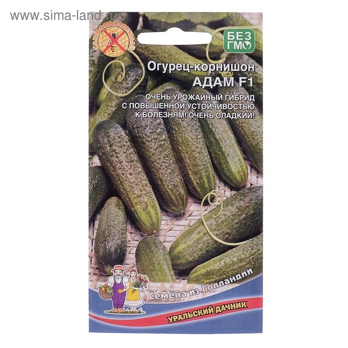 Семена Огурец Адам F1, 5 шт. Семена Огурец Адам F1, 5 шт.