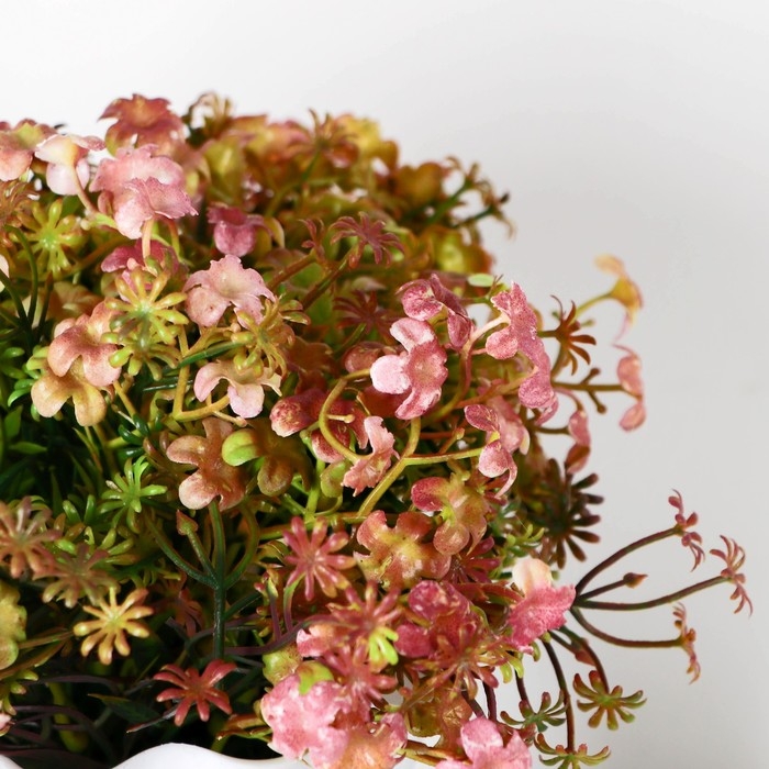 Бонсай в горшке Бонсай в горшке "Фрезия" 11х16 см, микс