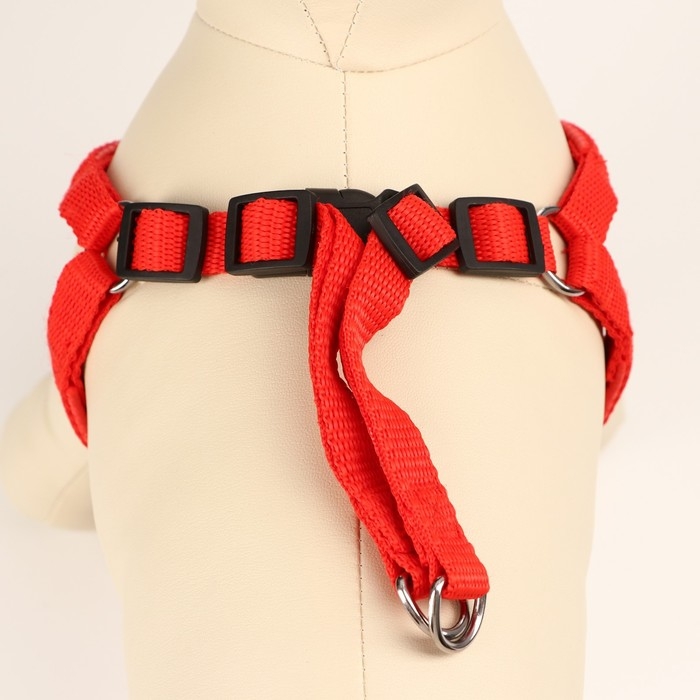 Шлейка Шлейка "Комфорт" комбинированная, 1,5 см, ОШ 36-50 см, ОГ 40-55 см, красная