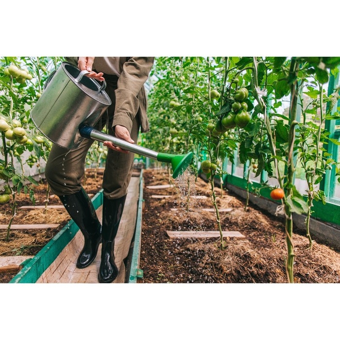 Лейка, 8 л, с рассеивателем, оцинкованная, носик d = 25 мм Лейка, 8 л, с рассеивателем, оцинкованная, носик d = 25 мм