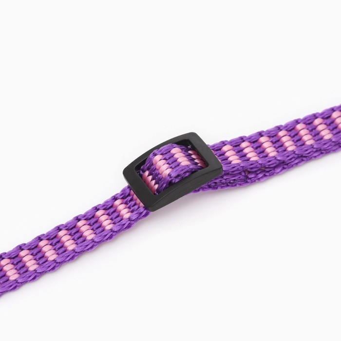 Ошейник Ошейник "Клубника", 30 х 1 см, капрон, розовый