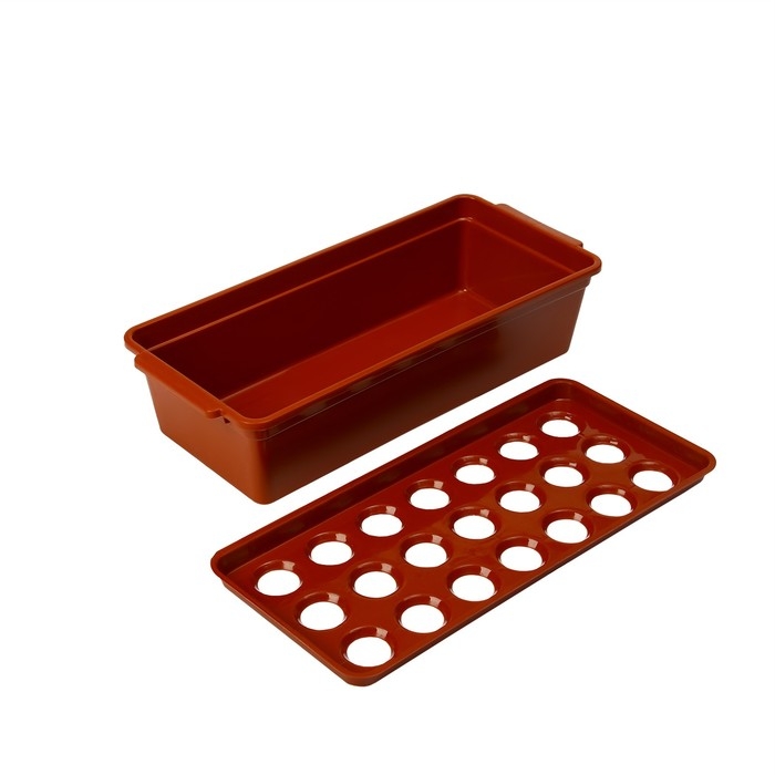 Ящик для выращивания зелёного лука, 40 × 19 × 10 см, 21 лунка, красный