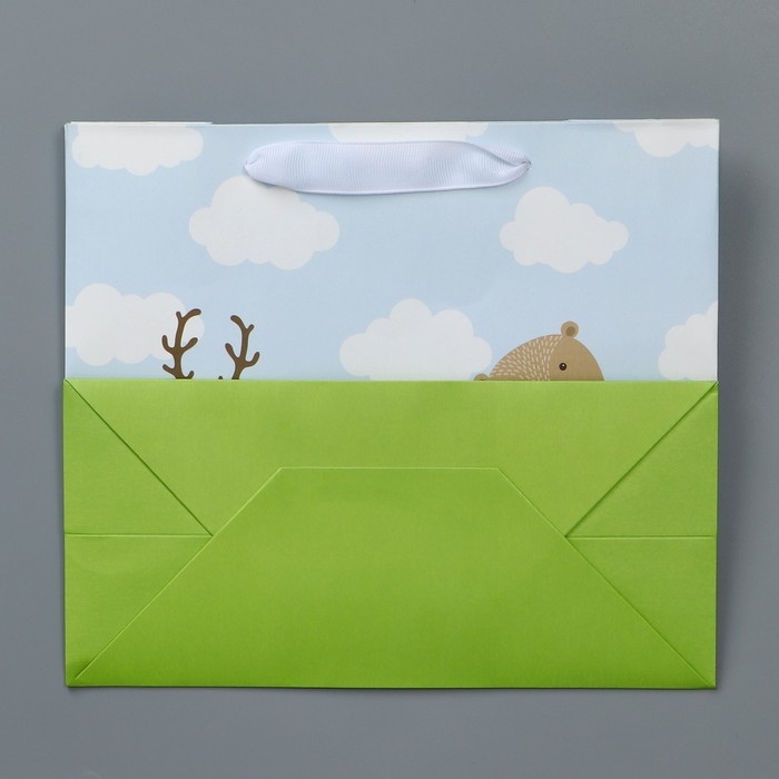 Пакет подарочный крафтовый с пластиковым окном, упаковка, «Friends», 24 х 20 х 11 см Пакет подарочный крафтовый с пластиковым окном, упаковка, «Friends», 24 х 20 х 11 см