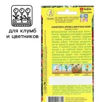 Семена цветов Камнеломка "Цветочный ковер", 0,02 г
