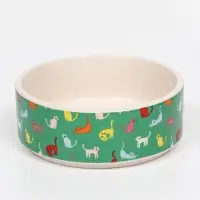 Миска &laquo;Котэ&raquo;, 200 мл, 10.5&times;10.5&times;4 см, керамика, зелёная, белая