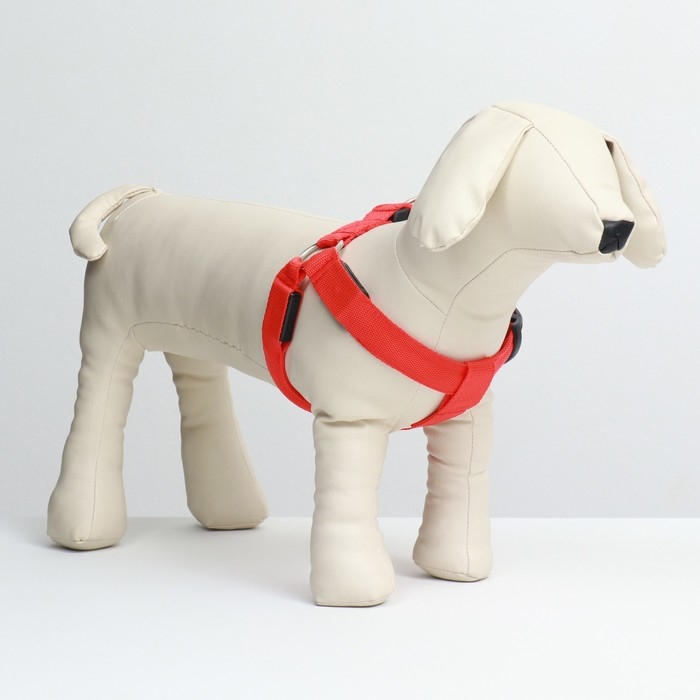 Шлейка светящаяся размер M, стропа 2,5 см, ОГ 38-50 см, 3 режима свечения красная Шлейка светящаяся размер M, стропа 2,5 см, ОГ 38-50 см, 3 режима свечения красная