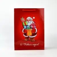 Пакет подарочный «Новогодняя сказка», с очками, 31 × 11 × 40 см Пакет подарочный «Новогодняя сказка», с очками, 31 × 11 × 40 см