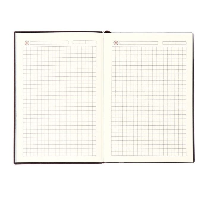 Ежедневник недатированный, формат А6+, 116 листов, клетка, ЛАЙТ Серый, тониров срез Ежедневник недатированный, формат А6+, 116 листов, клетка, ЛАЙТ Серый, тониров срез