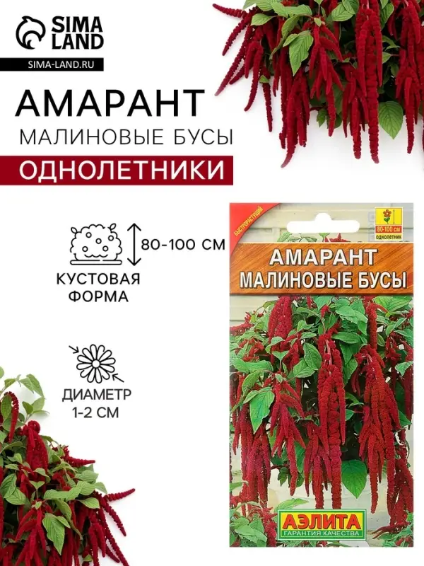 Семена цветов Амарант &laquo;Малиновые бусы&raquo;, однолетник, 0.2 г, &laquo;Агрофирма АЭЛИТА&raquo;
