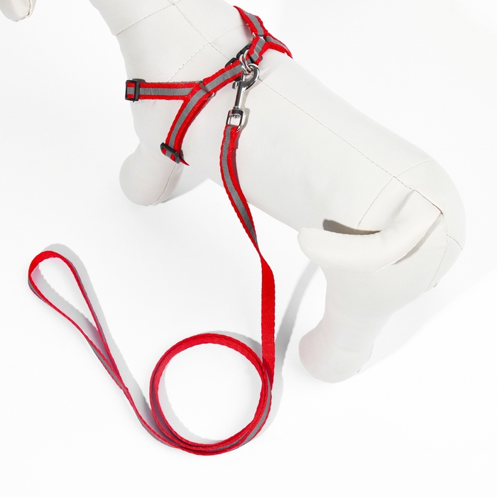 Комплект со светоотражающей лентой, ошейник 120 х 1 см, ОГ 26-40 см, красный Комплект со светоотражающей лентой, ошейник 120 х 1 см, ОГ 26-40 см, красный