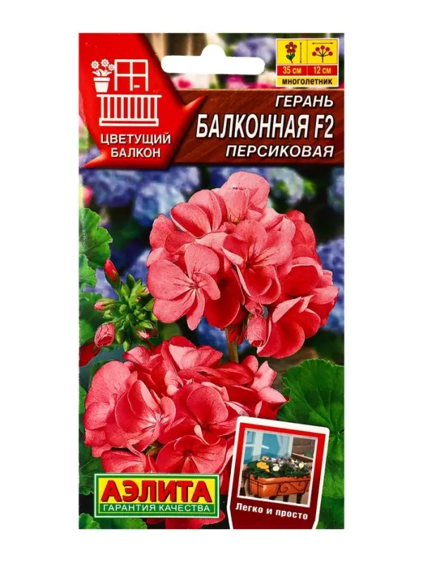 Семена цветов Герань Балконная персиковая F2 Мн Цветущий балкон, Ц/П,5 шт. Семена цветов Герань Балконная персиковая F2 Мн Цветущий балкон, Ц/П,5 шт.
