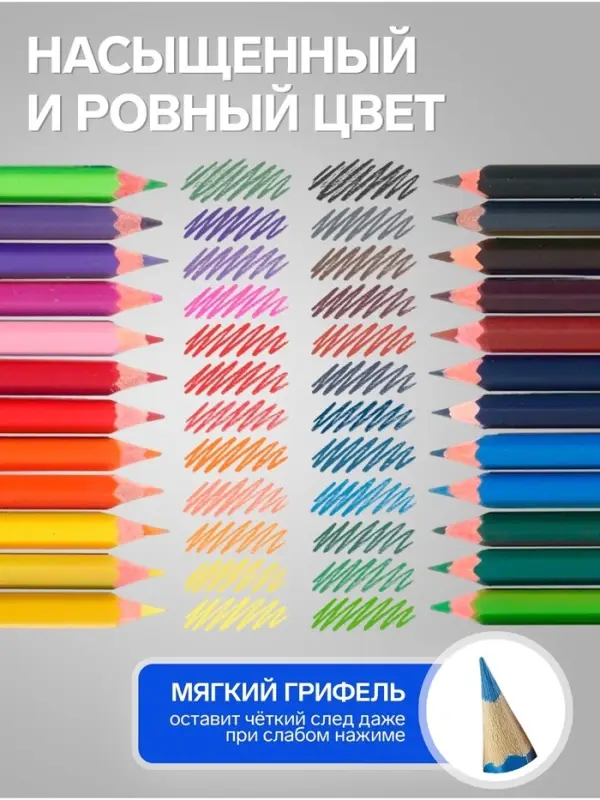 Карандаши Calligrata, цветные, 24 цвета, эконом, шестигранные, пластиковые