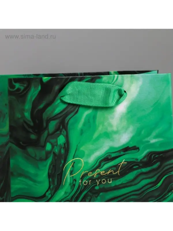 Пакет подарочный ламинированный, упаковка, &laquo;Present for you&raquo;, S 12&times;15&times;5.5 см