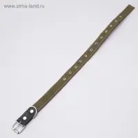 Ошейник брезентовый двухслойный, безразмерный, 72&times;3.5 см, ОШ 45-60 см, хаки