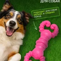 Игрушка для собак резиновая &laquo;Гантель-крабы&raquo;, TPR, 11.5&times;2 см, розовая