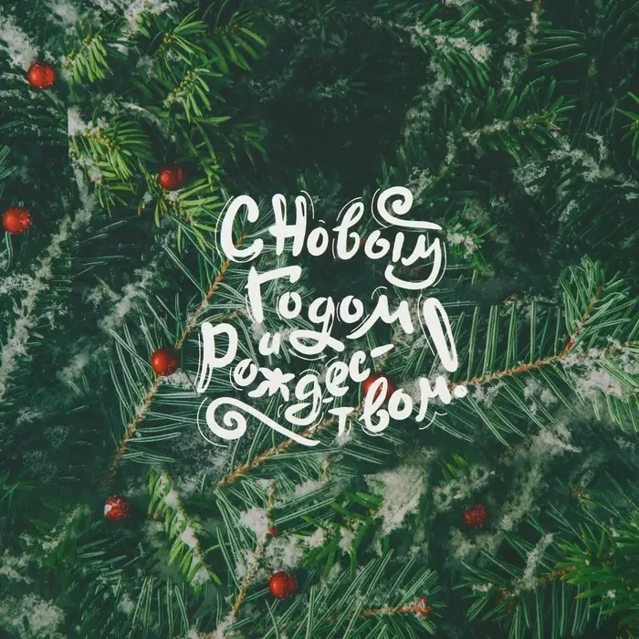 Бумага упаковочная новогодняя глянцевая «Еловые ветки», 50×70 см Бумага упаковочная новогодняя глянцевая «Еловые ветки», 50×70 см