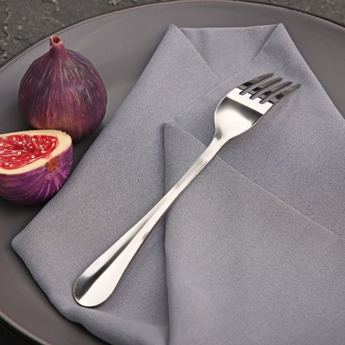 Вилка столовая Доляна «Плэйн Бритиш», длина 19,1 см, толщина 1,2 мм, цвет серебряный Вилка столовая Доляна «Плэйн Бритиш», длина 19,1 см, толщина 1,2 мм, цвет серебряный