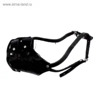 Намордник кожаный цельнокроенный, питбультерьер, ДН 8 см, ОМ 30 см, чёрный