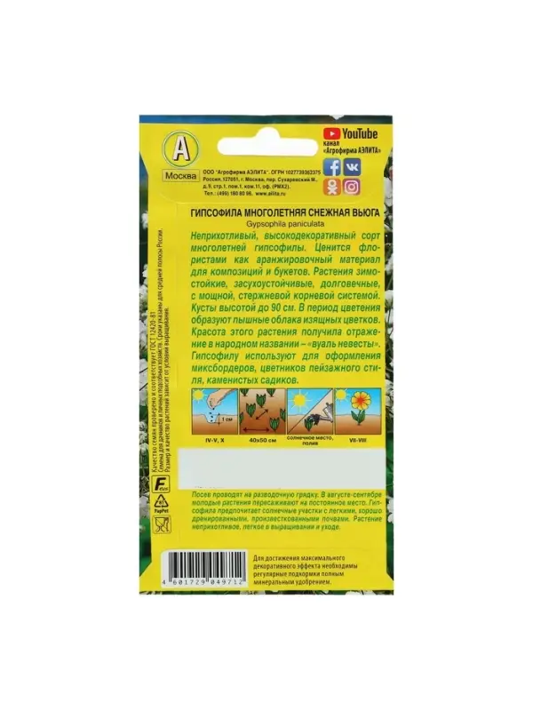 Набор семян Гипсофила Набор семян Гипсофила "Снежная вьюга", 5 шт.