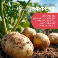 Удобрение органоминеральное картофельное, 5 кг