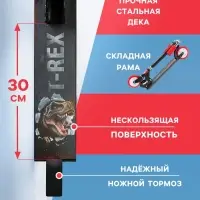 Самокат-снегокат 2 в 1 GRAFFITI T-Rex