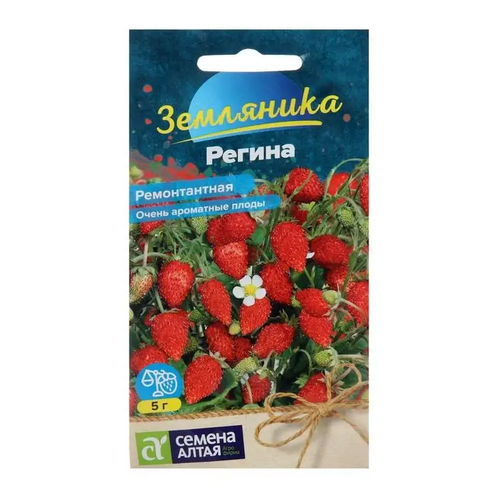 Семена  Земляника  Семена  Земляника "Регина", ремонтантная, Сем. Алт, ц/п, 0,03 г