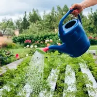 Лейка, 10 л, с рассеивателем, носик d=35 мм, цвет МИКС, &laquo;Классика&raquo;