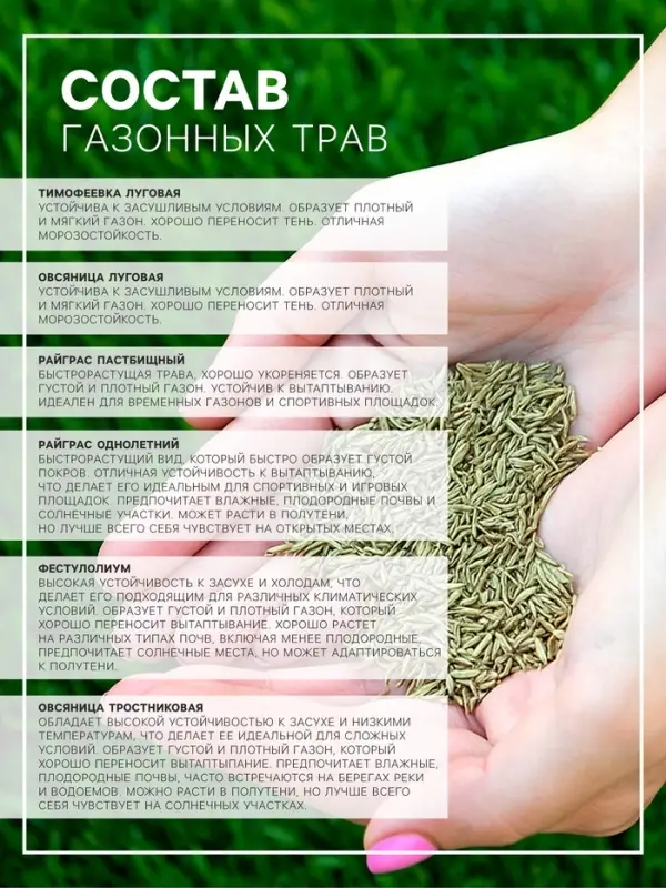 Семена газонной травы Sport Meister Gras, 10 кг