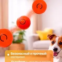 Интерактивная игрушка для собак &laquo;Гравитационный мяч&raquo;, 5.5 см, оранжевая