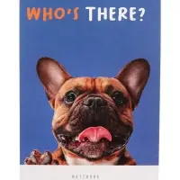 Набор блокнотов А6 32л кл на скобе Кто здесь?, мел карт, бл офс, 4В 20шт