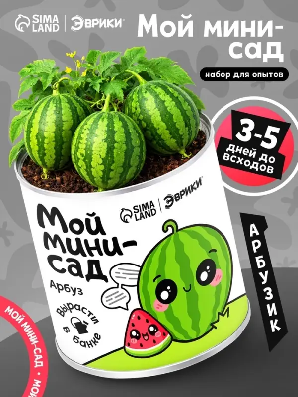 Набор для опытов ЭВРИКИ &laquo;Мой мини-сад&raquo;, арбуз