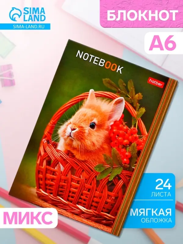 Блокнот Hatber &laquo;В мире животных&raquo;, А6, 24 листа, на скобе, МИКС