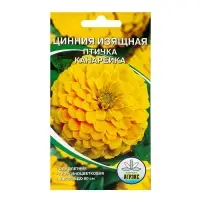 Семена цветов Цинния "Птичка канарейка", 0,2-0,3 г