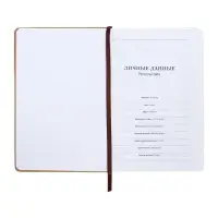 Ежедневник недатированный, А5, 140 л, клетка, кожзам, с хлястиком, &laquo;Полоски&raquo;, бежевый