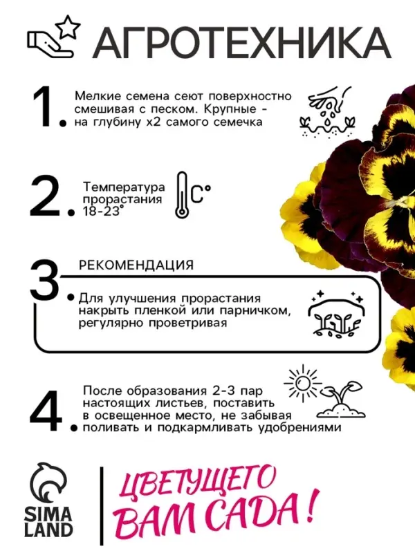 Семена Виола Семена Виола "Африка", ц/п, 0,05 г