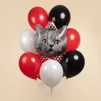 Воздушный шар фольгированный 29" &laquo;Кот в колпаке&raquo;