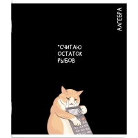 Тетрадь предметнaя АЛГЕБРА 'КОТЫ МЕМЫ' 48 л.А5+,клетка, справ.инф/69820