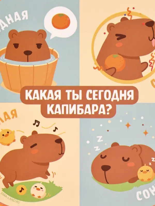 Ланч - бокс квадратный с секциями &laquo;Капибара&raquo;, 14.5&times;6 см