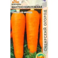 Семена Морковь &laquo;Шантенэ Королевская&raquo;, 2 г, &laquo;Агросс&raquo;