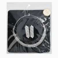 Набор 2 предмета: серьги, колье со стразами &laquo;Лёд&raquo;, d=13.5 см, белый в серебре