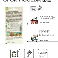 Семена Огурец &laquo;Клавдия&raquo;, F1, раннеспелый, партенокарпический, набор 5 шт., &laquo;Мой выбор&raquo;