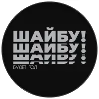 Шайба хоккейная Winter Star, взрослая, d=7.6 см