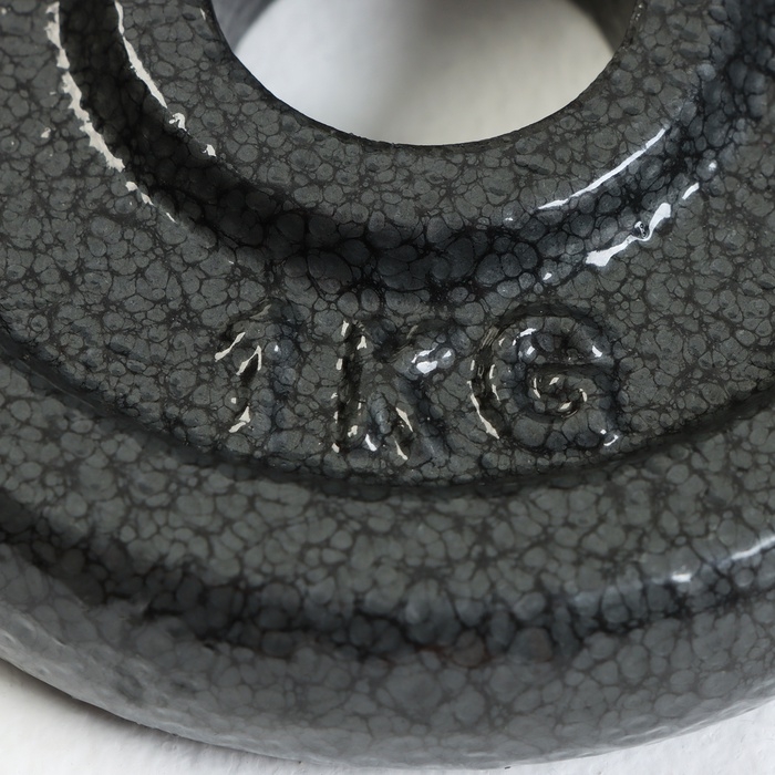 Диск 1 кг, d=29 мм Диск 1 кг, d=29 мм