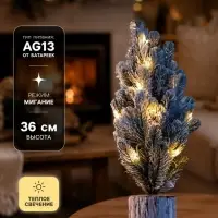 Фигура светодиодная &laquo;Сияние зимы&raquo; 36 см, 20 LED, от батареек AG13&times;3, свечение тёплое белое