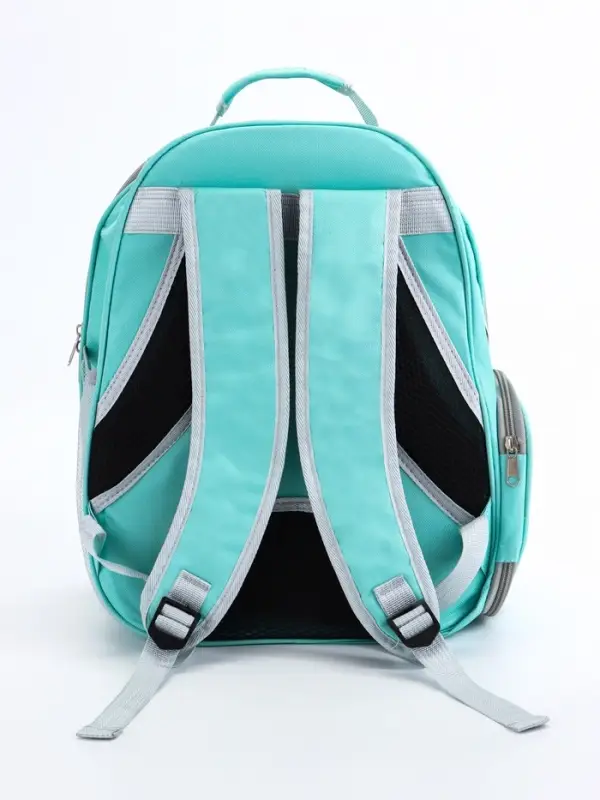 Рюкзак для переноски животных, 31&times;28&times;42 см, прозрачный, бирюзовый