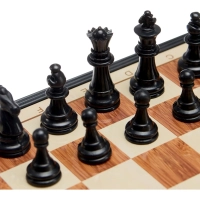 Настольная игра Магнитные шахматы 'Шахматы' из пластика,  24x24 см,2996845