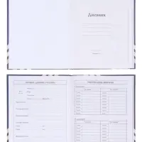 Дневник школьный для 1-11 классов, &laquo;Глобус и перо&raquo;, твёрдая обложка 7БЦ, глянцевая ламинация, 40 листов